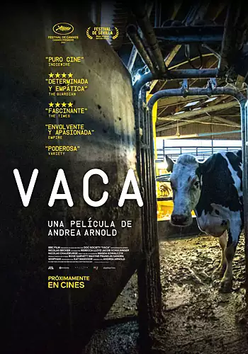Pelicula Vaca, documental, director Andrea Arnold