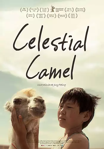 Celestial camel