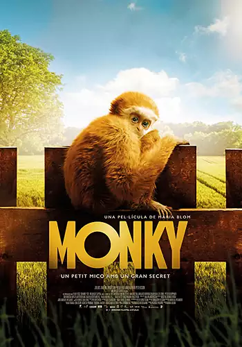 Pelicula Monky un petit mico amb un gran secret CAT, drama, director Maria Blom