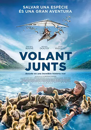 Volant junts (CAT)