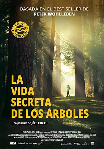 La vida secreta de los �rboles