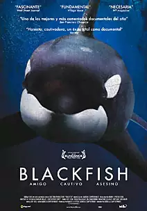 Pelicula Blackfish VOSE, documental, director Gabriela Cowperthwaite