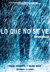 Lo que no se ve (Invisible)