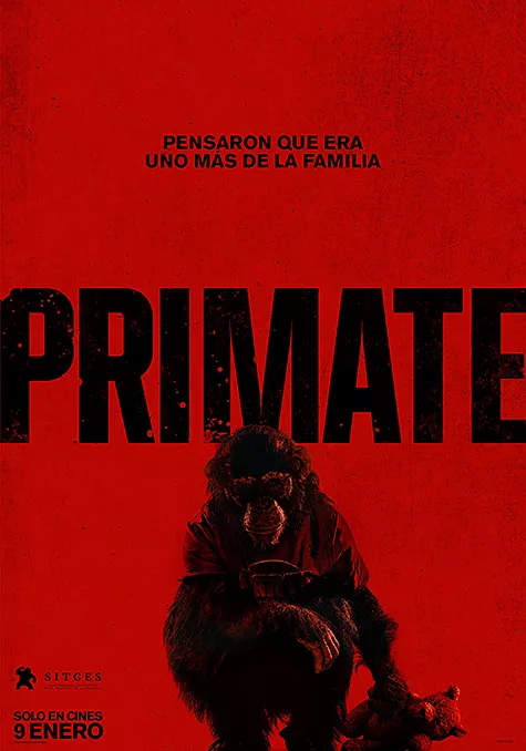 Primate