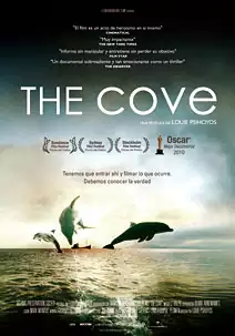 The cove