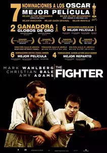 The fighter