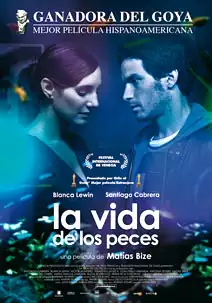 La vida de los peces