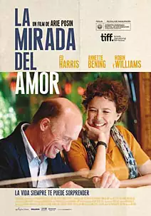 Pelicula La mirada del amor, drama romantica, director Arie Posin