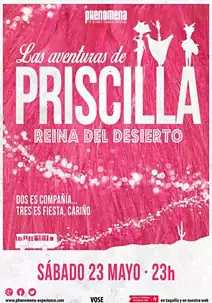 Carátula de la película Las aventuras de Priscilla, reina del desierto Pelicula Las aventuras de Priscilla reina del desierto, comedia drama, director Stephan Elliott