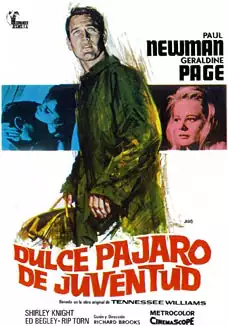 Dulce pjaro de juventud