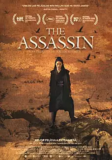 The assassin (VOSE)