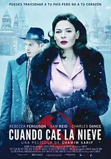 Cuando cae la nieve