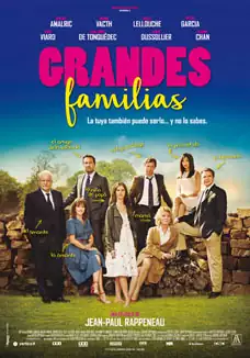 Pelicula Grandes familias, drama, director Jean-Paul Rappeneau