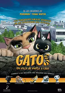 Gatos. Un viaje de vuelta a casa
