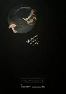 Los p�jaros no tienen v�rtigo